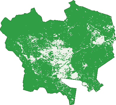 Where the trees are in Wonbah Forest