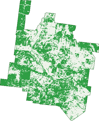Where the trees are in Langlo