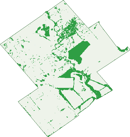 Where the trees are in Oberina
