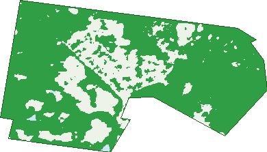 Where the trees are in Paxton