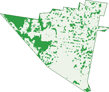 Where the trees are in Upper Mount Gravatt