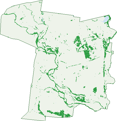 Where the trees are in Bungil