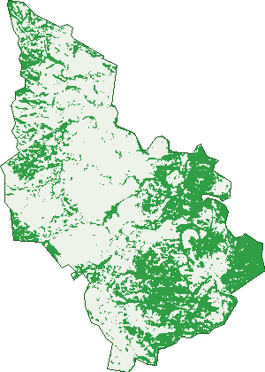 Where the trees are in New Moonta