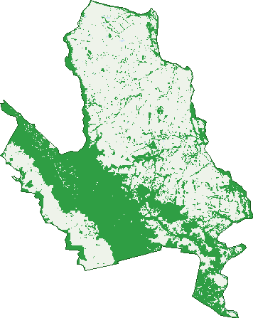 Where the trees are in Isla