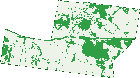 Where the trees are in Jackson
