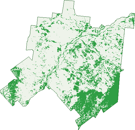 Where the trees are in Isisford
