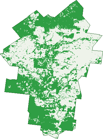 Where the trees are in Forestvale