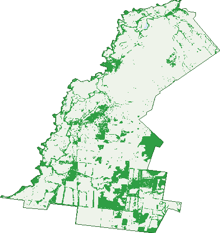 Where the trees are in Wellesley