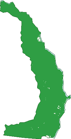 Where the trees are in Cape Tribulation