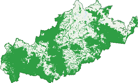 Where the trees are in Koumala