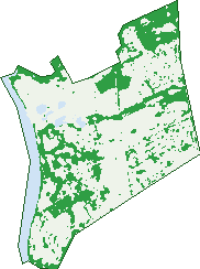 Where the trees are in Kawana