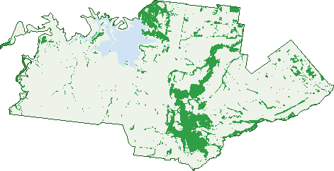 Where the trees are in Gindie