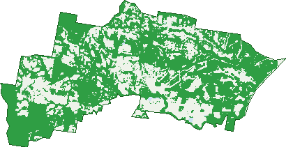 Where the trees are in Beerwah