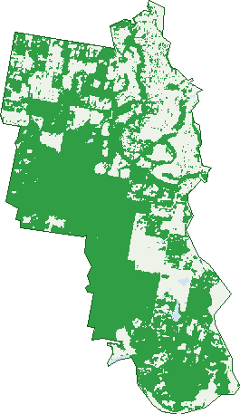 Where the trees are in Redland Bay