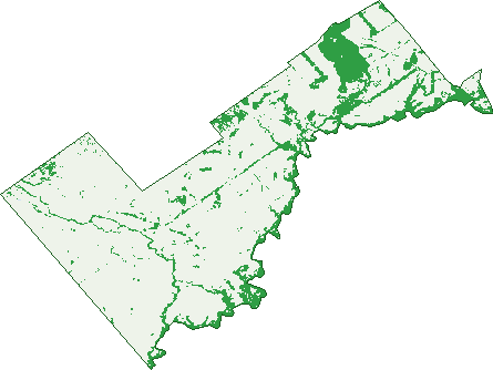 Where the trees are in Weribone