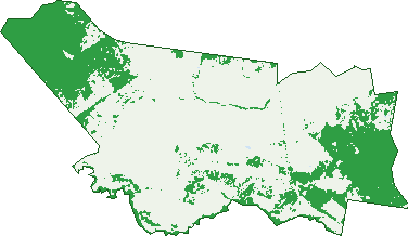 Where the trees are in Massie