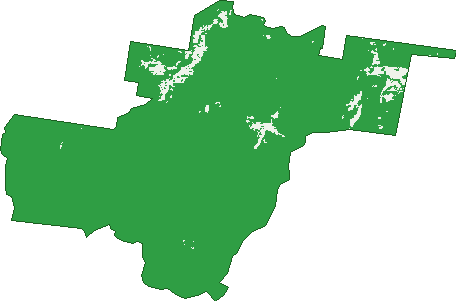Where the trees are in Kippenduff