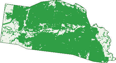 Where the trees are in Dalwogon
