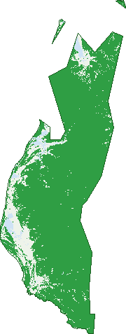 Where the trees are in Aurukun
