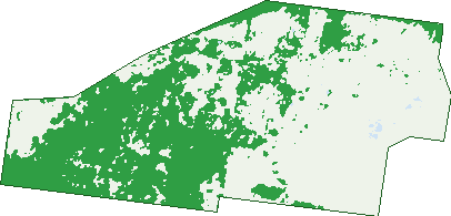 Where the trees are in Lockyer Waters