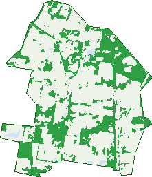 Where the trees are in Cottonvale