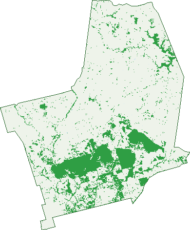 Where the trees are in Eumamurrin
