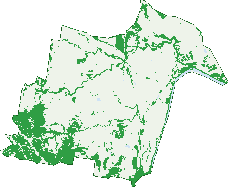 Where the trees are in Wallaville