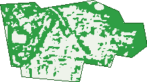 Where the trees are in Naremburn