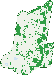 Where the trees are in Andergrove