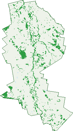Where the trees are in Marthaguy