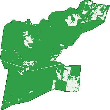 Where the trees are in Gungaloon