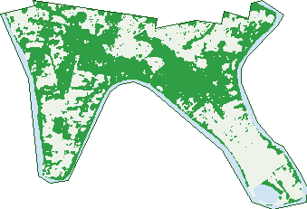 Where the trees are in Moggill
