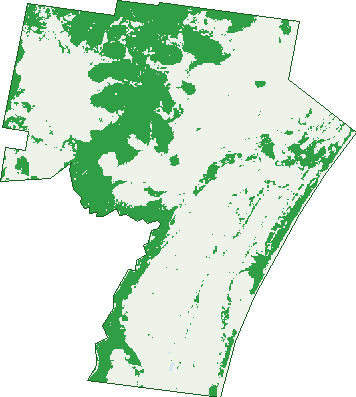 Where the trees are in Esk