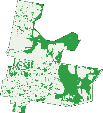 Where the trees are in Mansfield