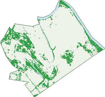 Where the trees are in Port Curtis
