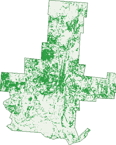 Where the trees are in Gunpowder