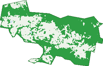 Where the trees are in Coolabine