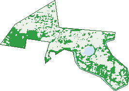 Where the trees are in Waterford West