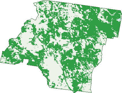 Where the trees are in Pikedale