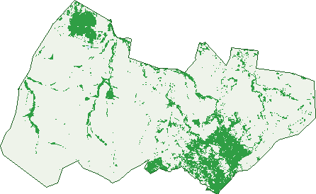 Where the trees are in Gemini Mountains