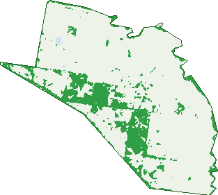 Where the trees are in Canningvale