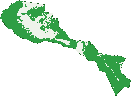 Where the trees are in Cooleman