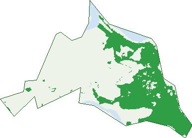Where the trees are in Belmunda