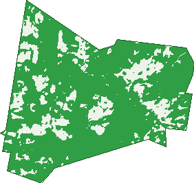 Where the trees are in Thorndale