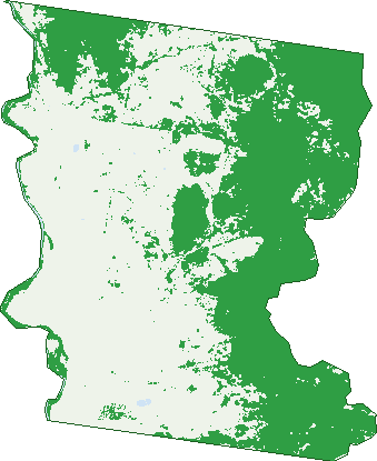Where the trees are in Bonshaw