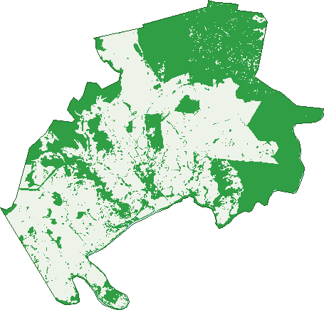 Where the trees are in Spring Creek