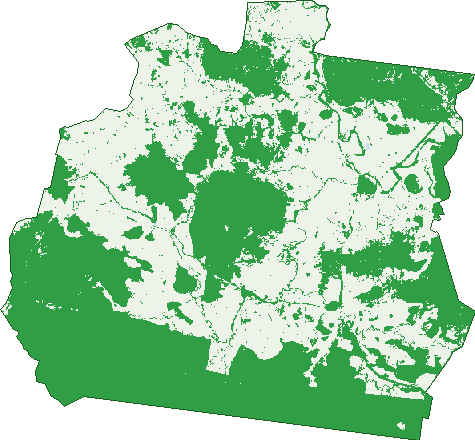 Where the trees are in Auburn