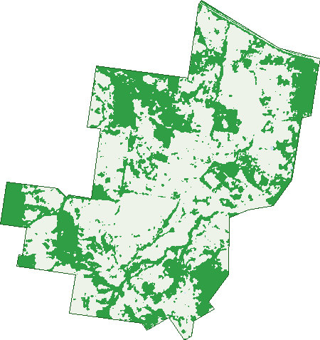 Where the trees are in Machine Creek