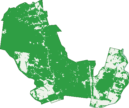 Where the trees are in Mount Maria