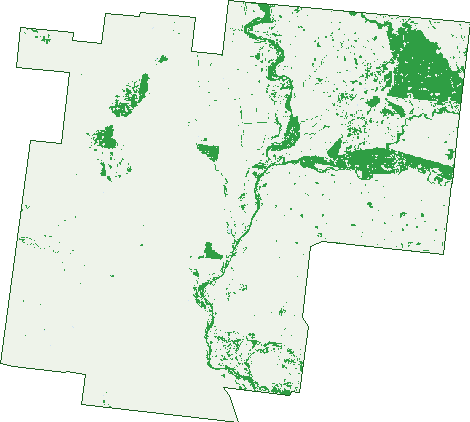 Where the trees are in Yandarlo
